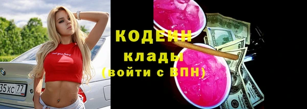 шишки Покров