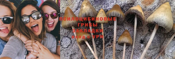 амф Алзамай