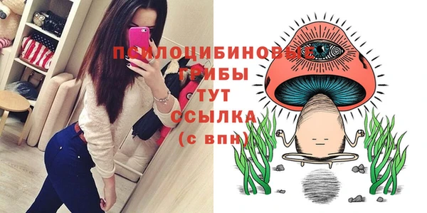 амф Алзамай
