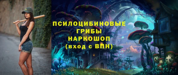 амф Алзамай
