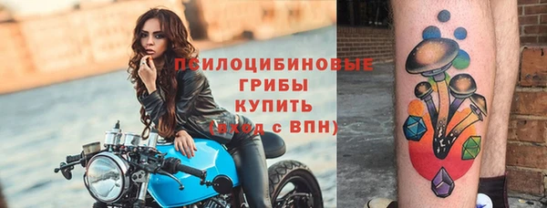 амф Алзамай